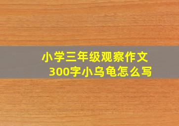 小学三年级观察作文300字小乌龟怎么写