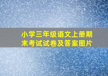 小学三年级语文上册期末考试试卷及答案图片