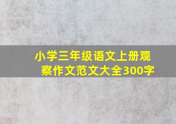 小学三年级语文上册观察作文范文大全300字