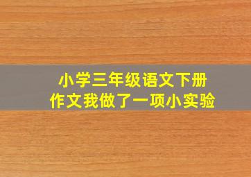 小学三年级语文下册作文我做了一项小实验