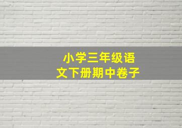 小学三年级语文下册期中卷子