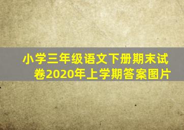 小学三年级语文下册期末试卷2020年上学期答案图片