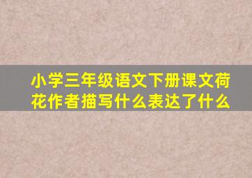 小学三年级语文下册课文荷花作者描写什么表达了什么