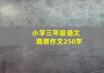 小学三年级语文观察作文250字