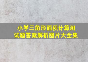 小学三角形面积计算测试题答案解析图片大全集