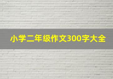 小学二年级作文300字大全