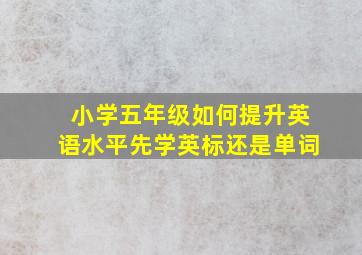 小学五年级如何提升英语水平先学英标还是单词