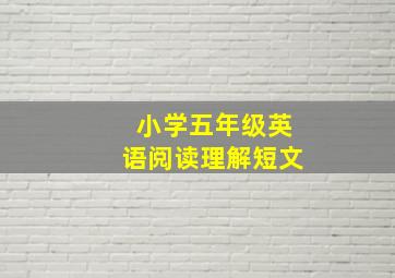 小学五年级英语阅读理解短文