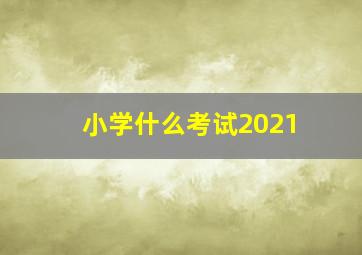 小学什么考试2021