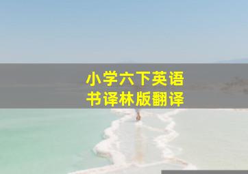 小学六下英语书译林版翻译