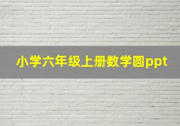 小学六年级上册数学圆ppt