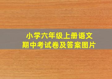 小学六年级上册语文期中考试卷及答案图片