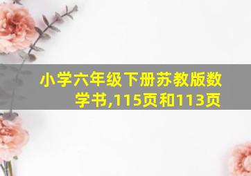 小学六年级下册苏教版数学书,115页和113页