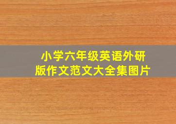 小学六年级英语外研版作文范文大全集图片