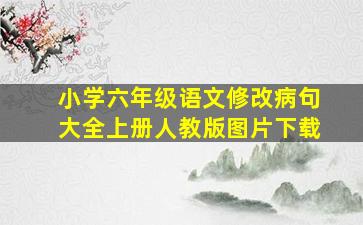 小学六年级语文修改病句大全上册人教版图片下载