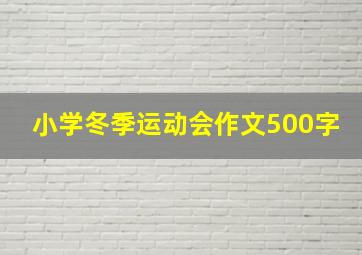 小学冬季运动会作文500字