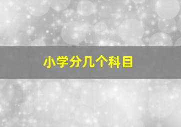 小学分几个科目