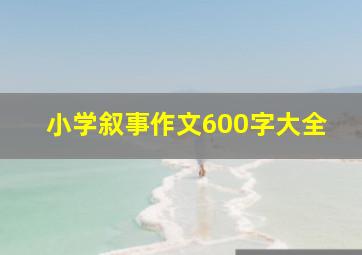 小学叙事作文600字大全