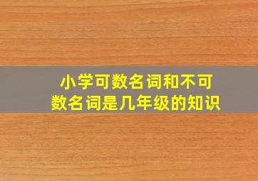 小学可数名词和不可数名词是几年级的知识