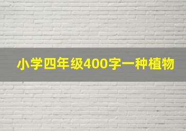 小学四年级400字一种植物