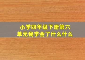 小学四年级下册第六单元我学会了什么什么