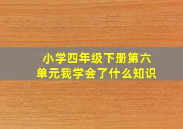 小学四年级下册第六单元我学会了什么知识