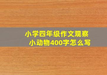 小学四年级作文观察小动物400字怎么写