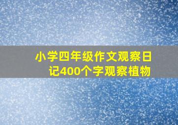 小学四年级作文观察日记400个字观察植物