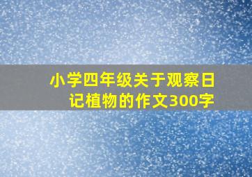 小学四年级关于观察日记植物的作文300字