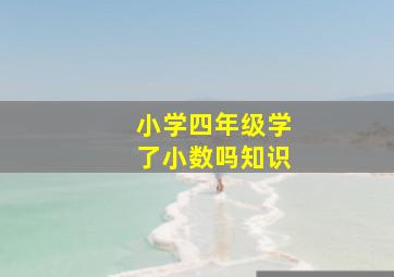 小学四年级学了小数吗知识