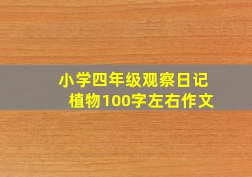 小学四年级观察日记植物100字左右作文