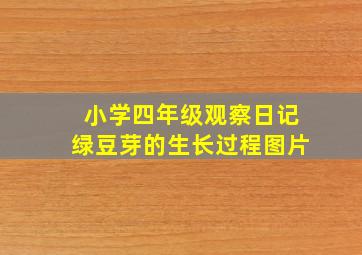 小学四年级观察日记绿豆芽的生长过程图片