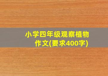 小学四年级观察植物作文(要求400字)