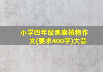 小学四年级观察植物作文(要求400字)大蒜