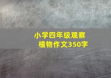 小学四年级观察植物作文350字