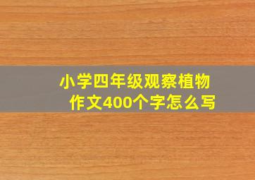 小学四年级观察植物作文400个字怎么写