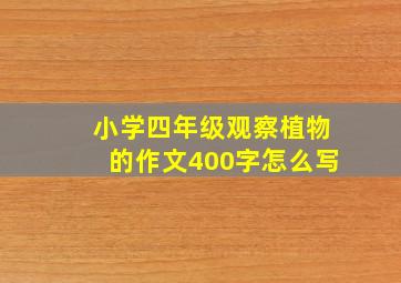 小学四年级观察植物的作文400字怎么写