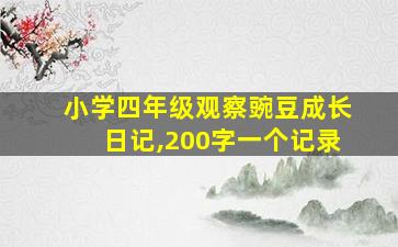 小学四年级观察豌豆成长日记,200字一个记录