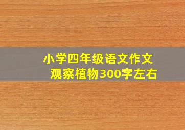 小学四年级语文作文观察植物300字左右