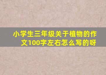 小学生三年级关于植物的作文100字左右怎么写的呀