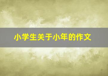 小学生关于小年的作文