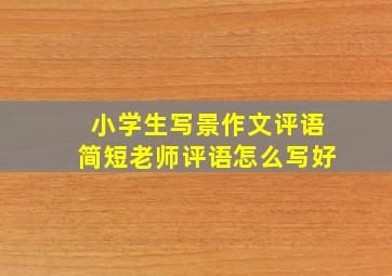 小学生写景作文评语简短老师评语怎么写好