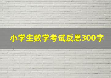 小学生数学考试反思300字