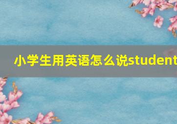 小学生用英语怎么说student