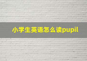 小学生英语怎么读pupil