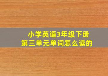 小学英语3年级下册第三单元单词怎么读的