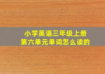 小学英语三年级上册第六单元单词怎么读的