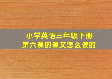 小学英语三年级下册第六课的课文怎么读的