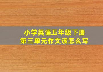 小学英语五年级下册第三单元作文该怎么写