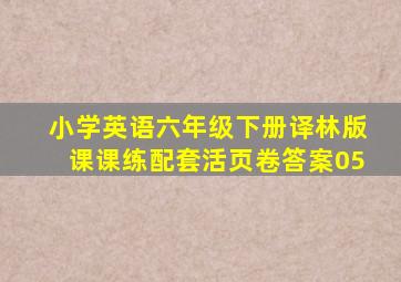 小学英语六年级下册译林版课课练配套活页卷答案05